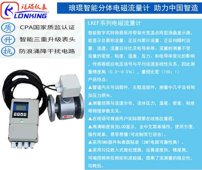 電磁流量計(jì)參數(shù)說明分體.jpg